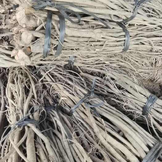 丰顺县出售鱼藤根鱼藤根粉鱼藤酮养虾螃蟹必备醉鱼藤根不伤虾螃蟹只对鱼