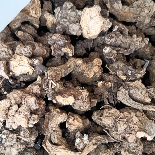 苍术人工种植干货今年新货5斤起售包邮