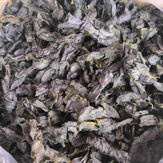 梧州水洗烘干无沙海带结