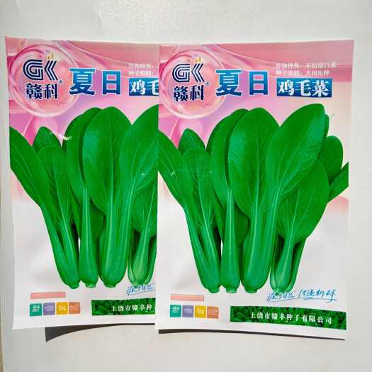 沭阳县赣科夏日鸡毛菜种子杂交耐热叶色绿生长快基地大户专用种籽