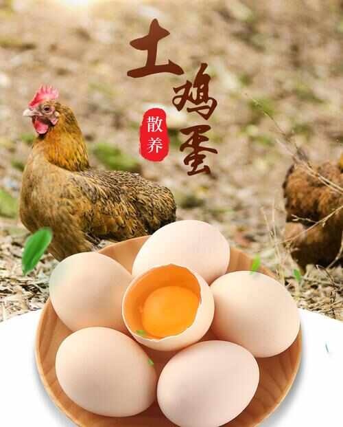天津百之百土鸡蛋12元15个