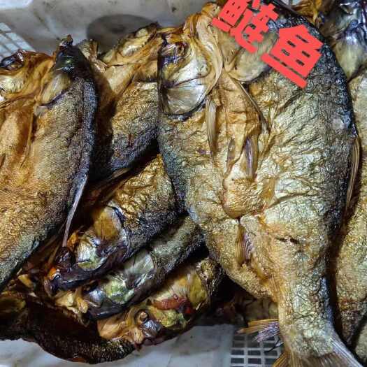 湘乡市乡里自养白干鲢鱼