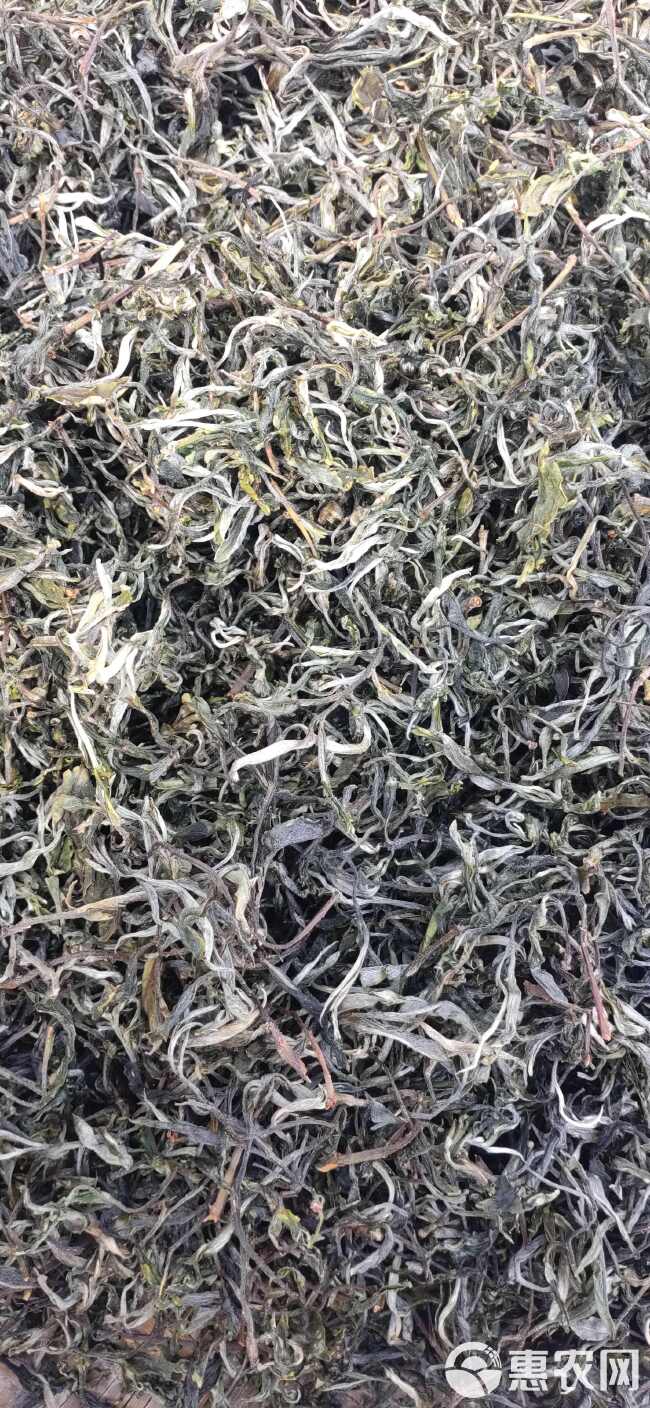 云南古树茶10斤包邮