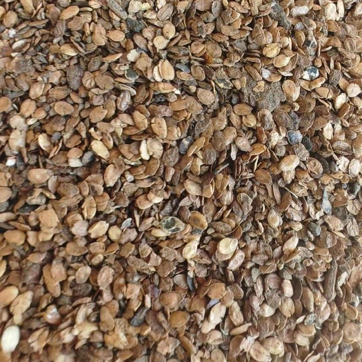巨鹿县芝麻粕牛羊鸡鸭料使用
