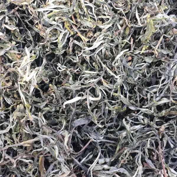 云南古树茶10斤包邮