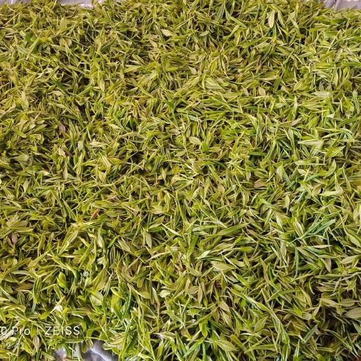 雅安高山（有机）川茶    老鹰茶
