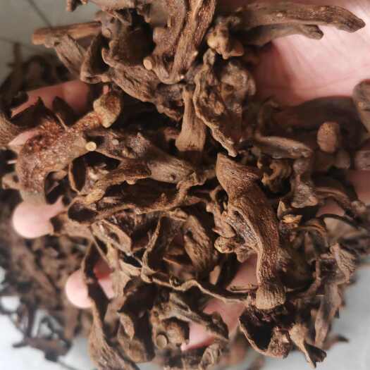 骨碎补正品无骨碎补【假一赔十】