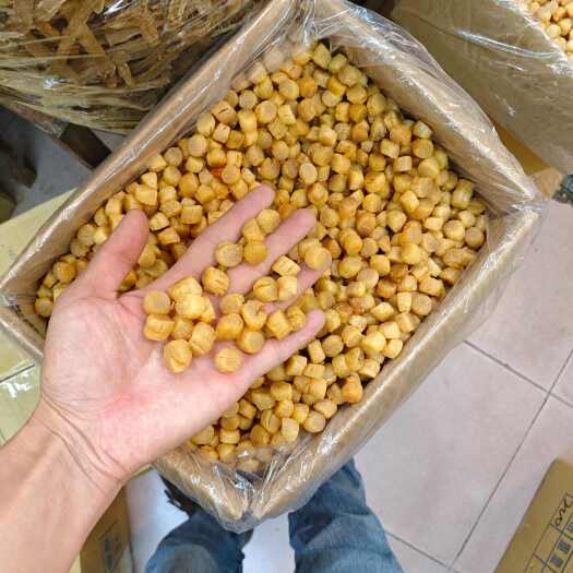 广州大连元贝，足干淡口大粒300头