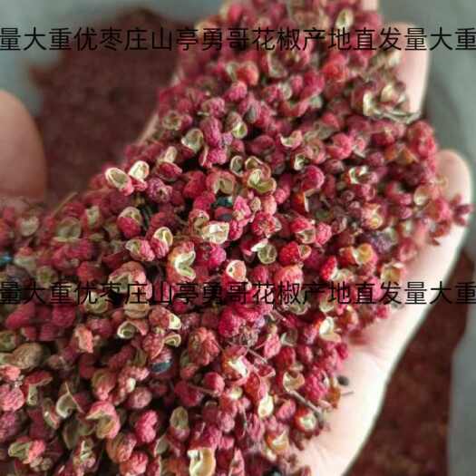 枣庄【包邮】批发山东枣庄大红袍调料厂，火锅，炒菜  养生