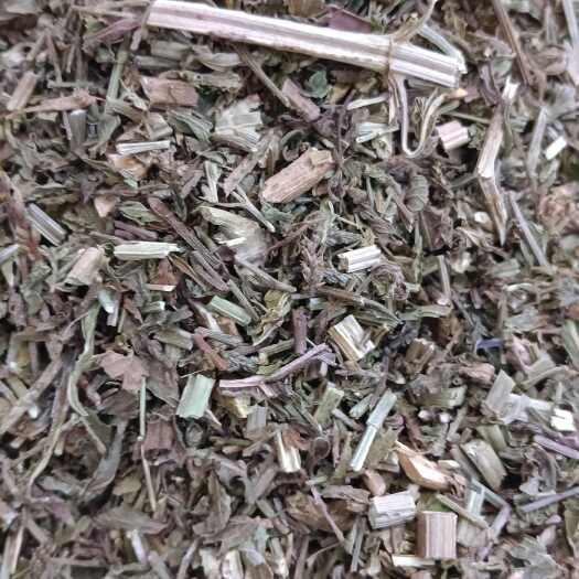 马鞭草