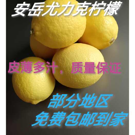 安岳县安岳尤力克黄柠檬产地直销，一二级好果，质量保证！