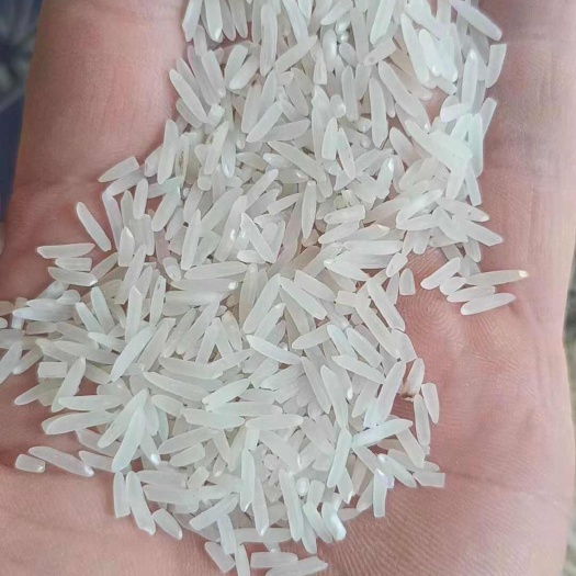 益阳长粒香米