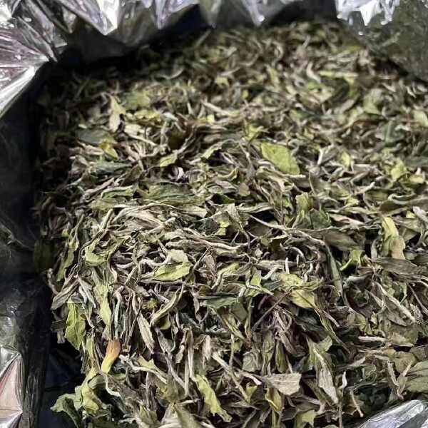 福鼎白茶2024年磻溪花香白牡丹散茶