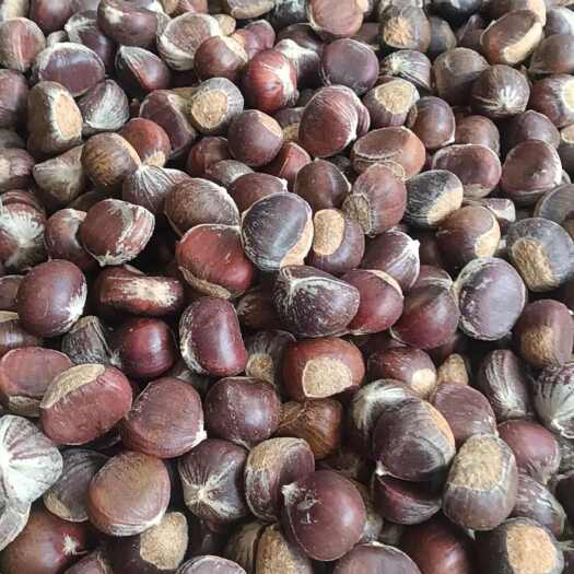荔浦市板栗种子，板栗果，常年供应，颗粒饱满，挑选好果发货，欢迎联系