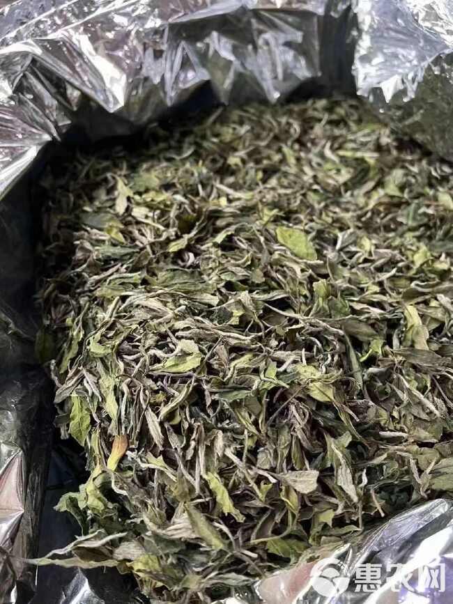 福鼎白茶2024年磻溪花香白牡丹散茶