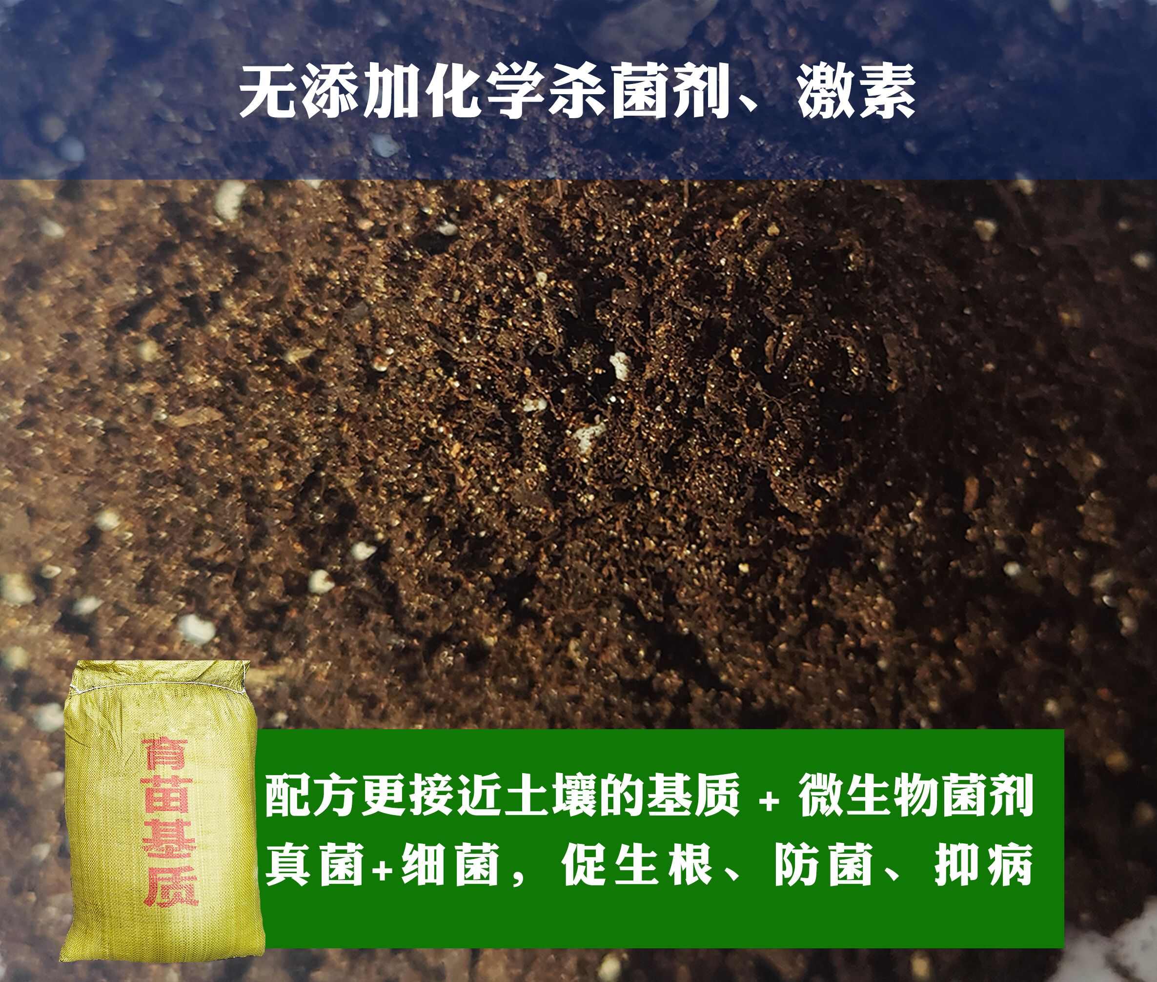 瓜果蔬菜、草莓育苗，西瓜育苗，番茄育苗，辣椒育苗基质