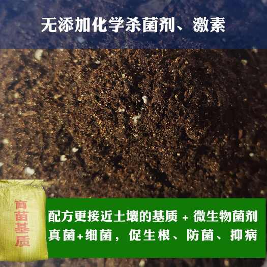沭阳县瓜果蔬菜、草莓育苗，基质