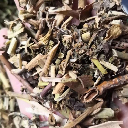 泽漆 中草药