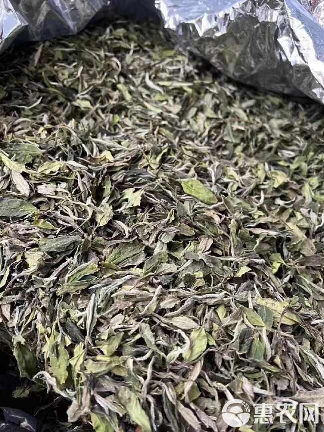 福鼎白茶2024年磻溪花香白牡丹散茶