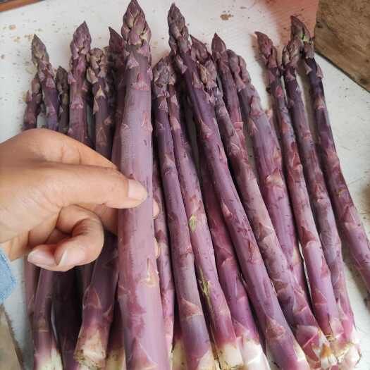 紫芦笋 新鲜现采现发农家自种 水果紫芦笋