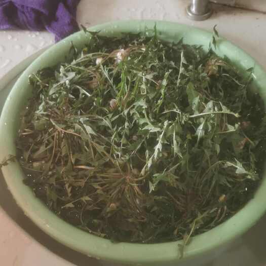  山野菜