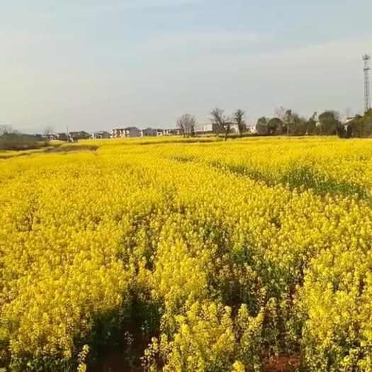 都昌县土地经营权转让