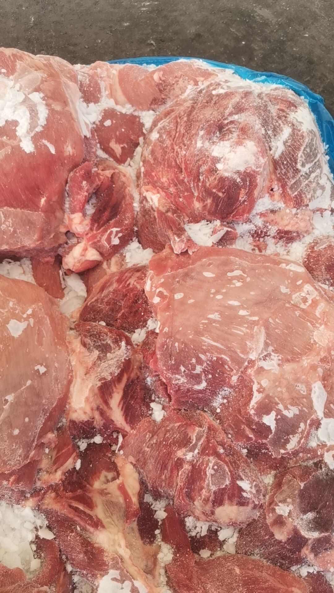 母猪二号肉，板冻，常年生产，货源充足，供应稳定