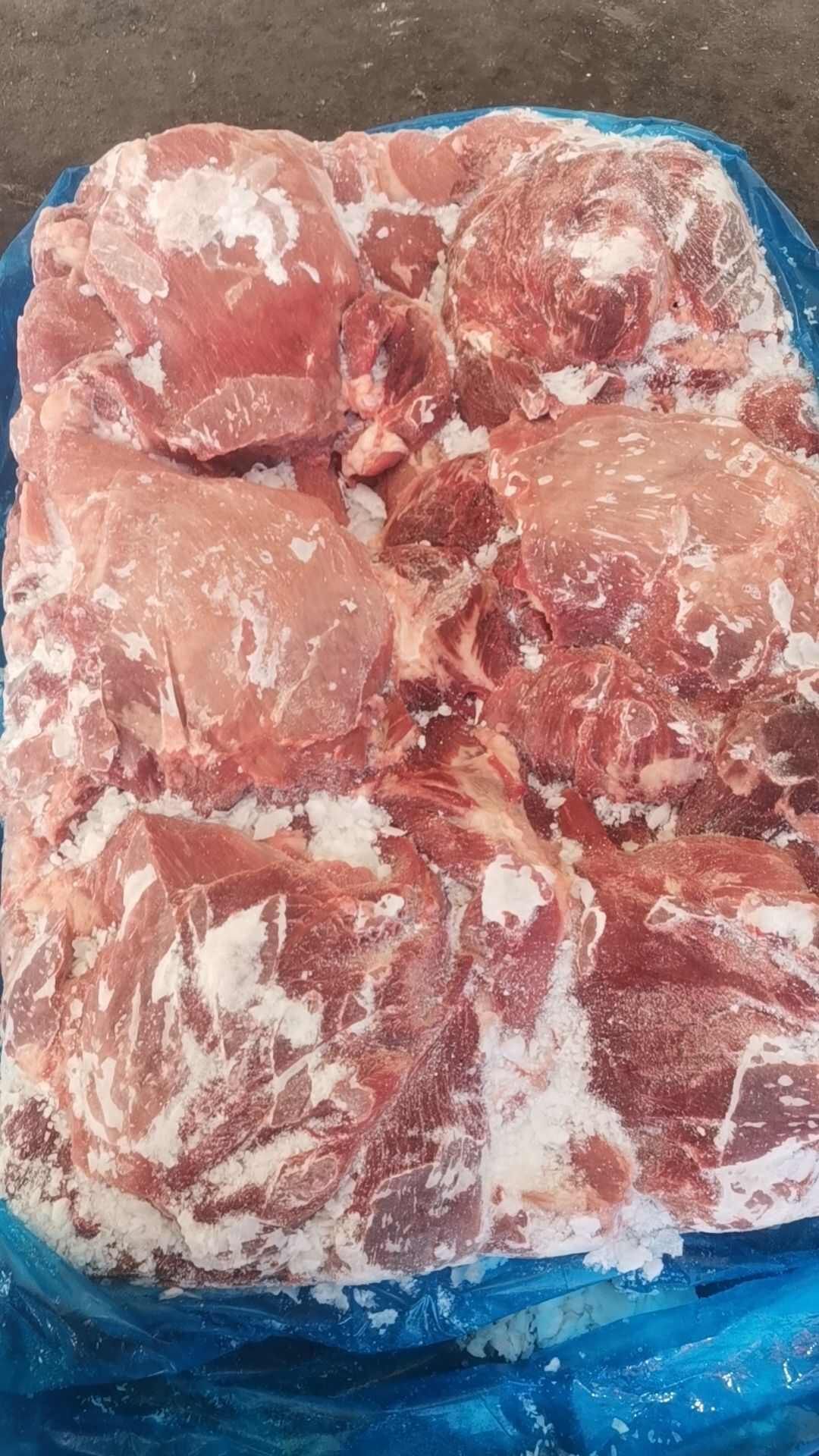 母猪二号肉，板冻，常年生产，货源充足，供应稳定