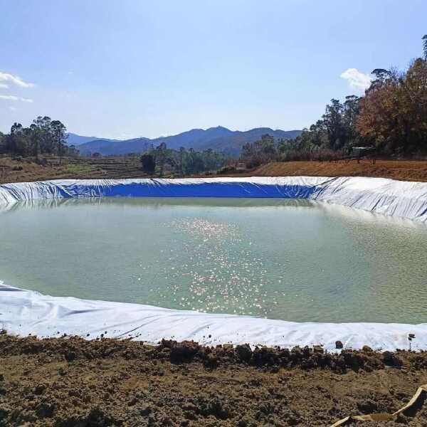 河道蓄水池沼气池复合膜两布一膜一布一膜土工膜放防渗膜