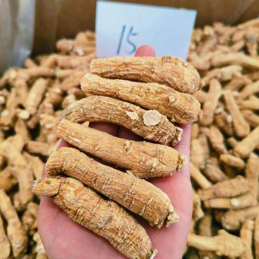 文山市西洋参 15克加拿大西洋参15克软枝西洋老参