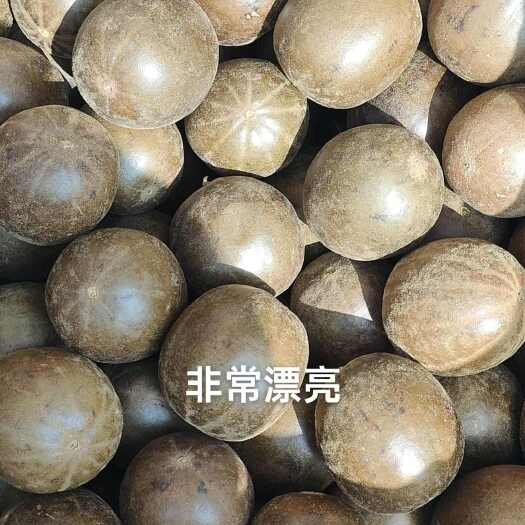  罗汉果