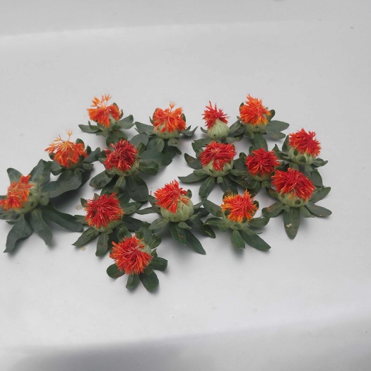 马山县红花球