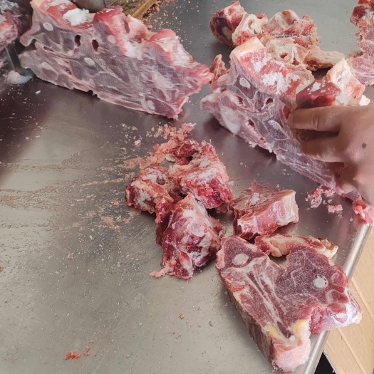 郑州羔羊羊蝎子