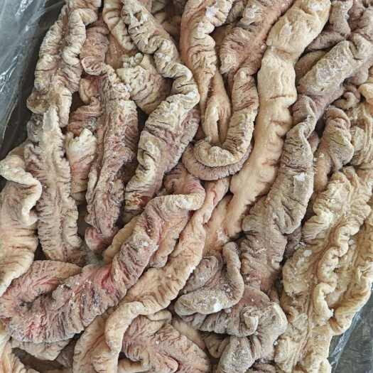 母猪预煮大肠，新货，常年生产，货源充足，供应稳定