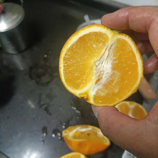 新宁县湖南脐橙储存果一件代发招代理商，水分很足！