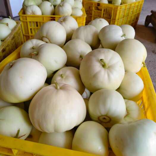 恭城县香瓜