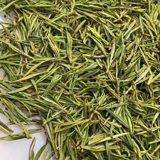  安吉白茶