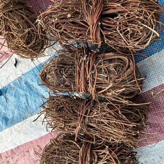 玉林正鸡骨草批发