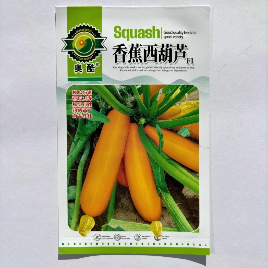 沭阳县香蕉西葫芦种子