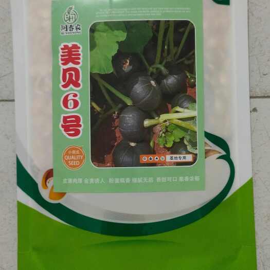 郑州贝贝南瓜种子软香糯甜南北方均可以种植