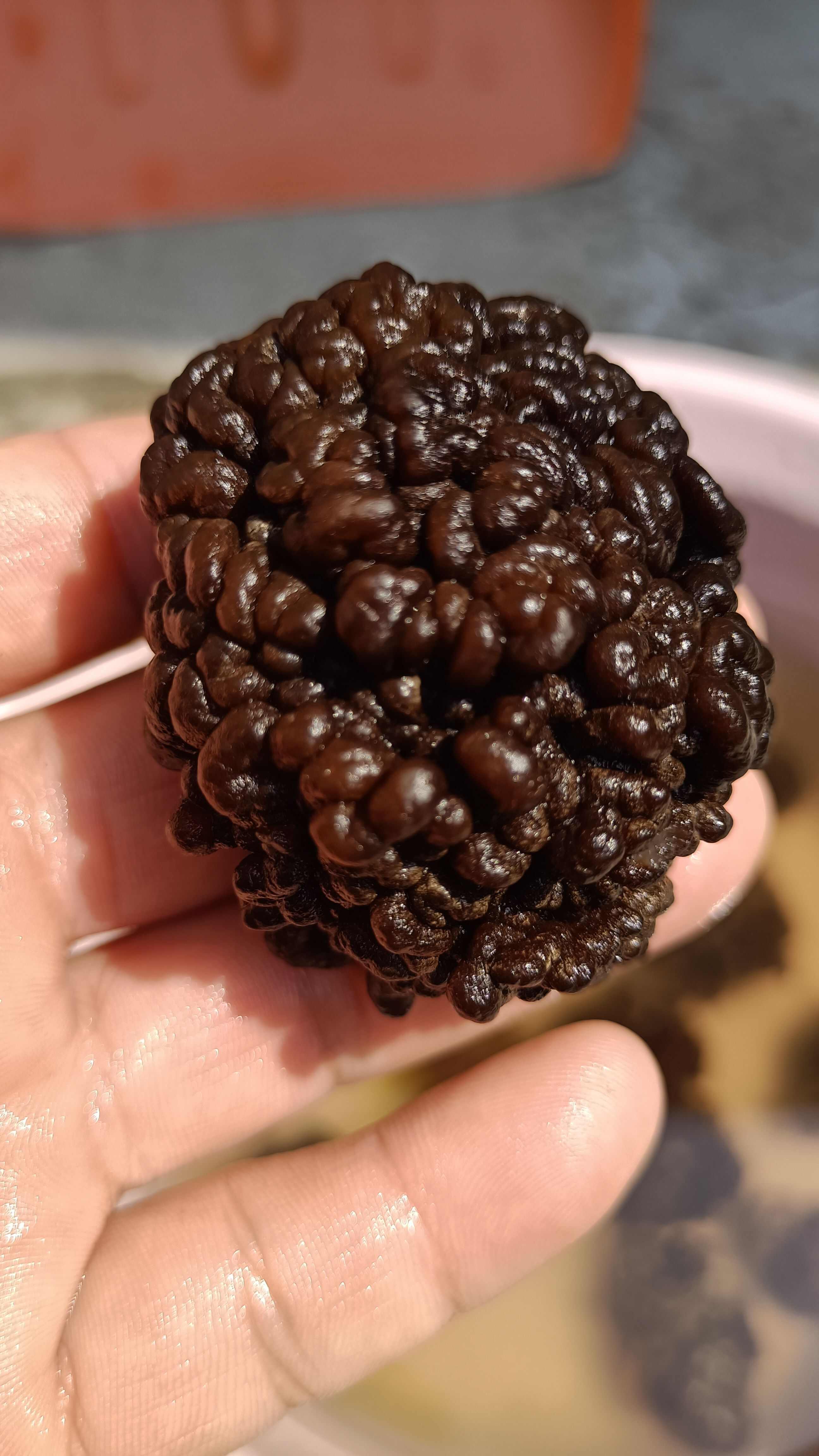 猴脑菇猴脑菌核桃菌产地一手货源批发零售酒店特色食材菌菇加工厂