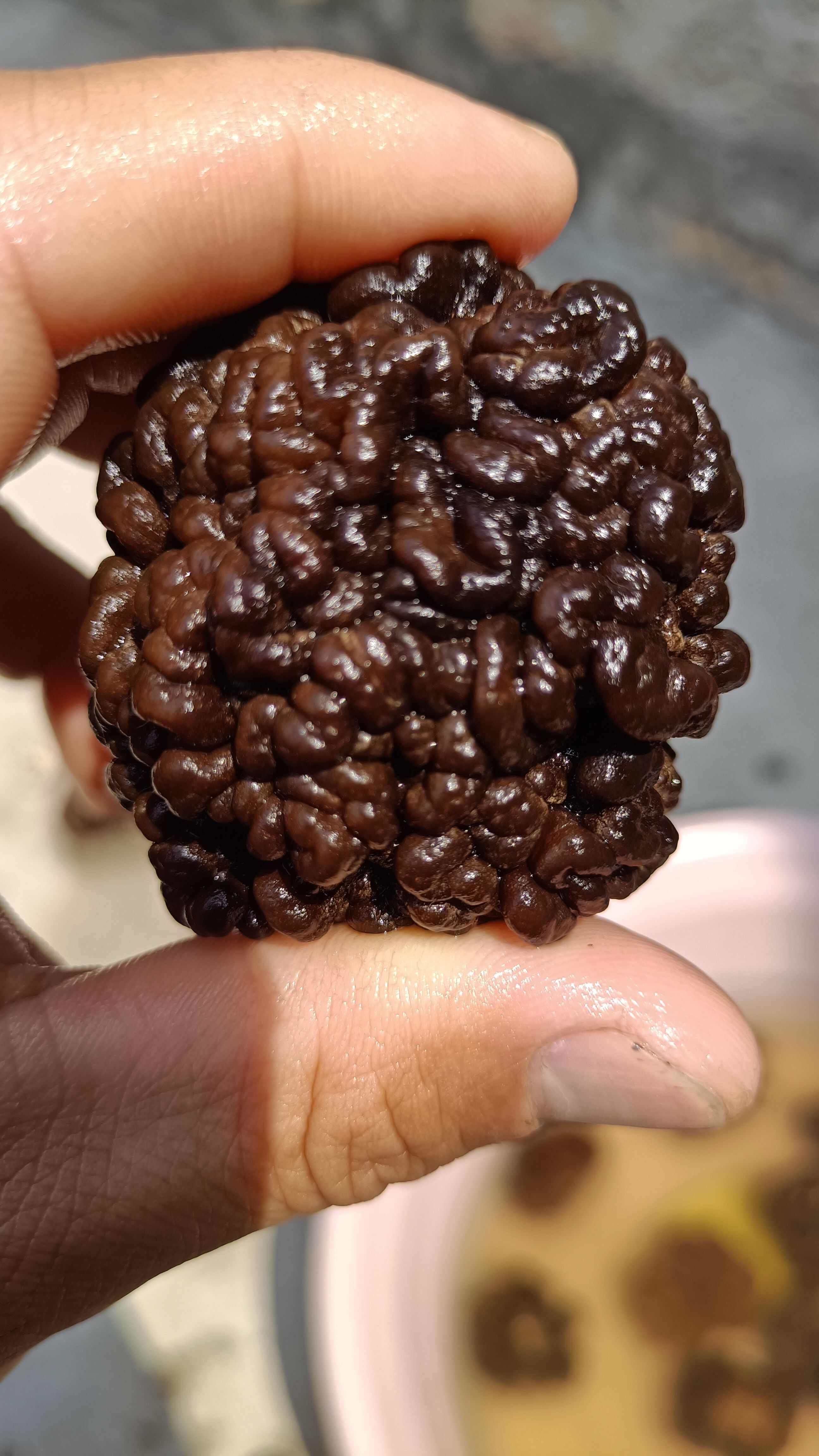 猴脑菇猴脑菌核桃菌产地一手货源批发零售酒店特色食材菌菇加工厂