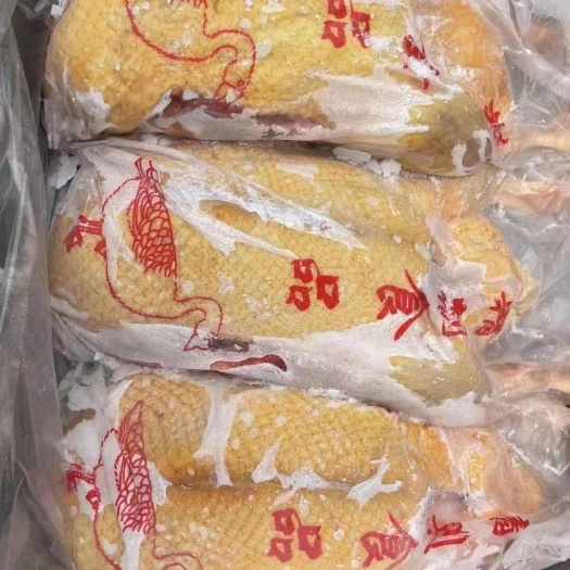 红头雁欧洲雁红嘴雁，规格齐全，一级货二级货都有，工厂直发