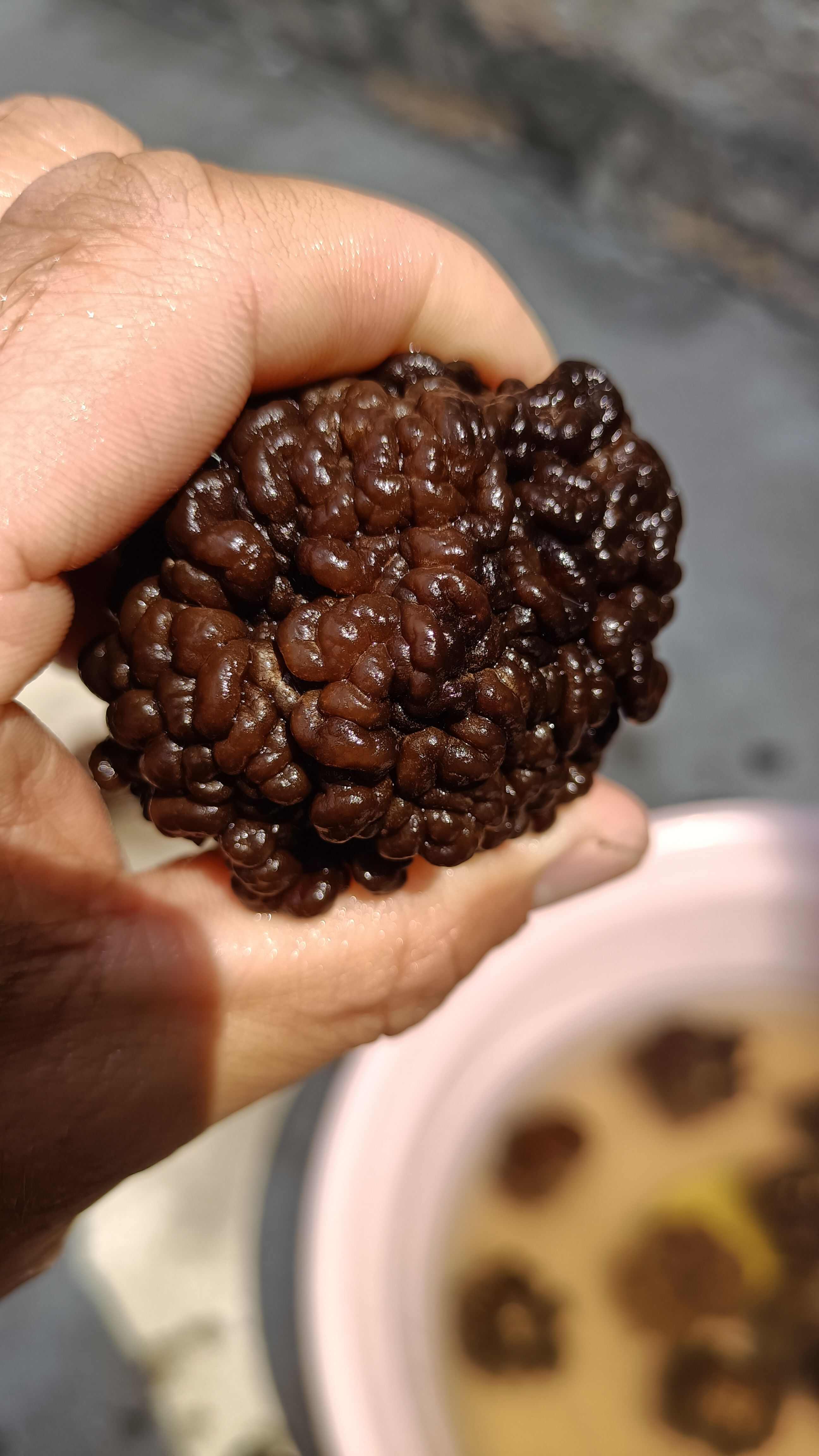 猴脑菇猴脑菌核桃菌产地一手货源批发零售酒店特色食材菌菇加工厂