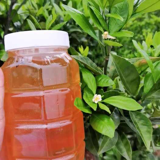 建宁县南丰天然橘花蜂蜜