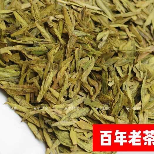 新昌县2024年新茶正z群体种百年老茶浓香耐泡雨前龙井500g