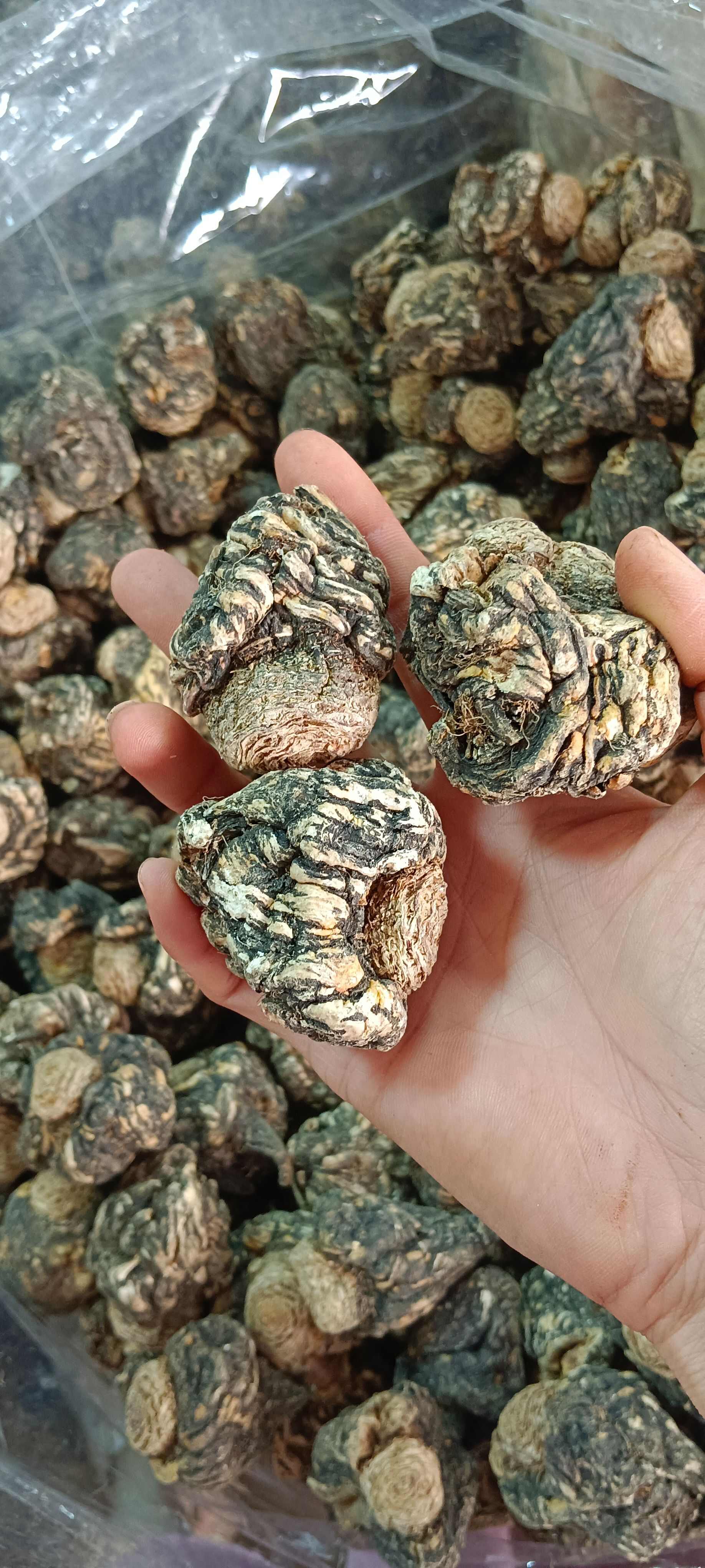 玛卡，中药材玛卡