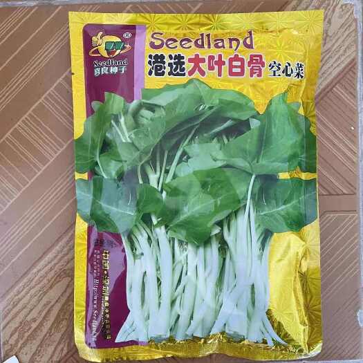 横州市白梗大叶空心菜种子大叶白梗空心菜种子田园阳台种植青菜蔬菜种子