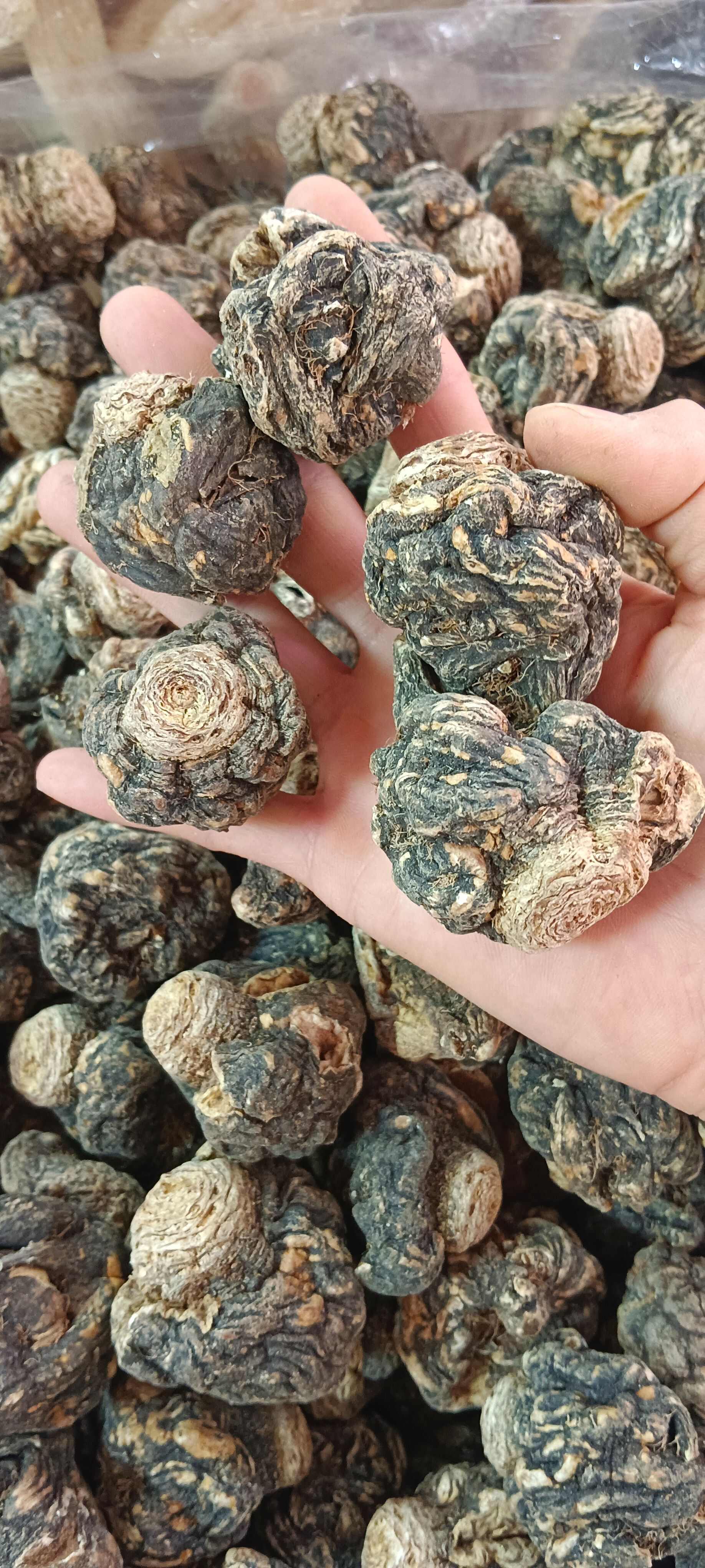 玛卡，中药材玛卡