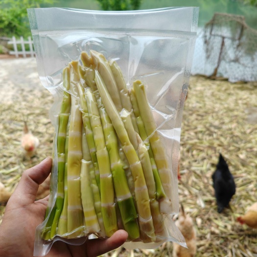 池州鲜嫩小笋尖 高山小笋子